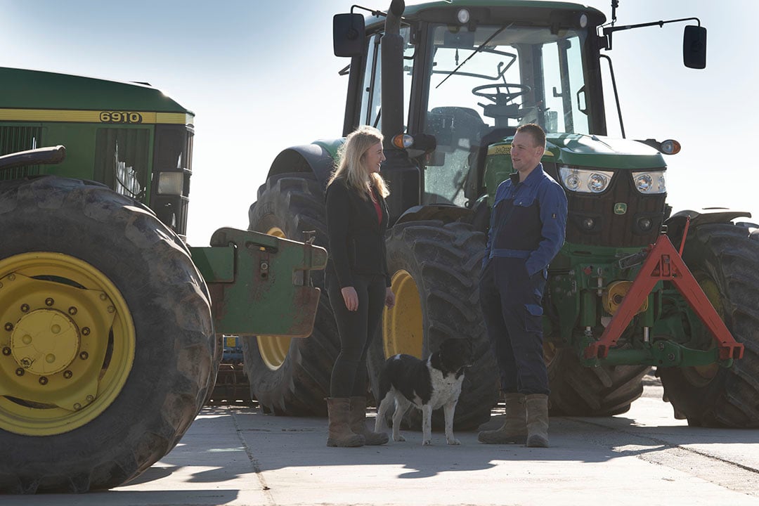 They are currently in their final year of agri-entrepreneurship in horticulture / sports farming at Ares University of Applied Science in Troont.  If school work allows, they help at home.