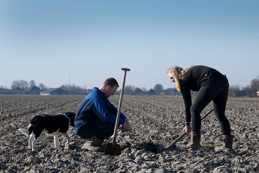 The company has been working with reverse plowing for many years, which has done the soil well.