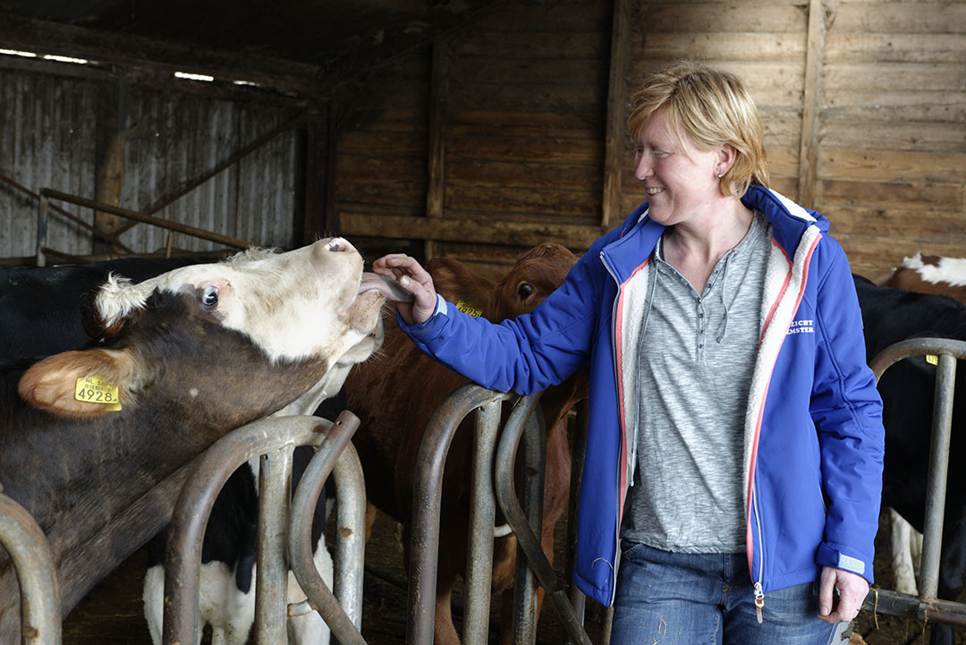 In maatschap houden Sandra en Clemens 110 melkkoeien, daarnaast verhuren ze een vergaderruimte en bieden ze boerderij-educatie aan. Voor de hobby lopen er 35 schapen.