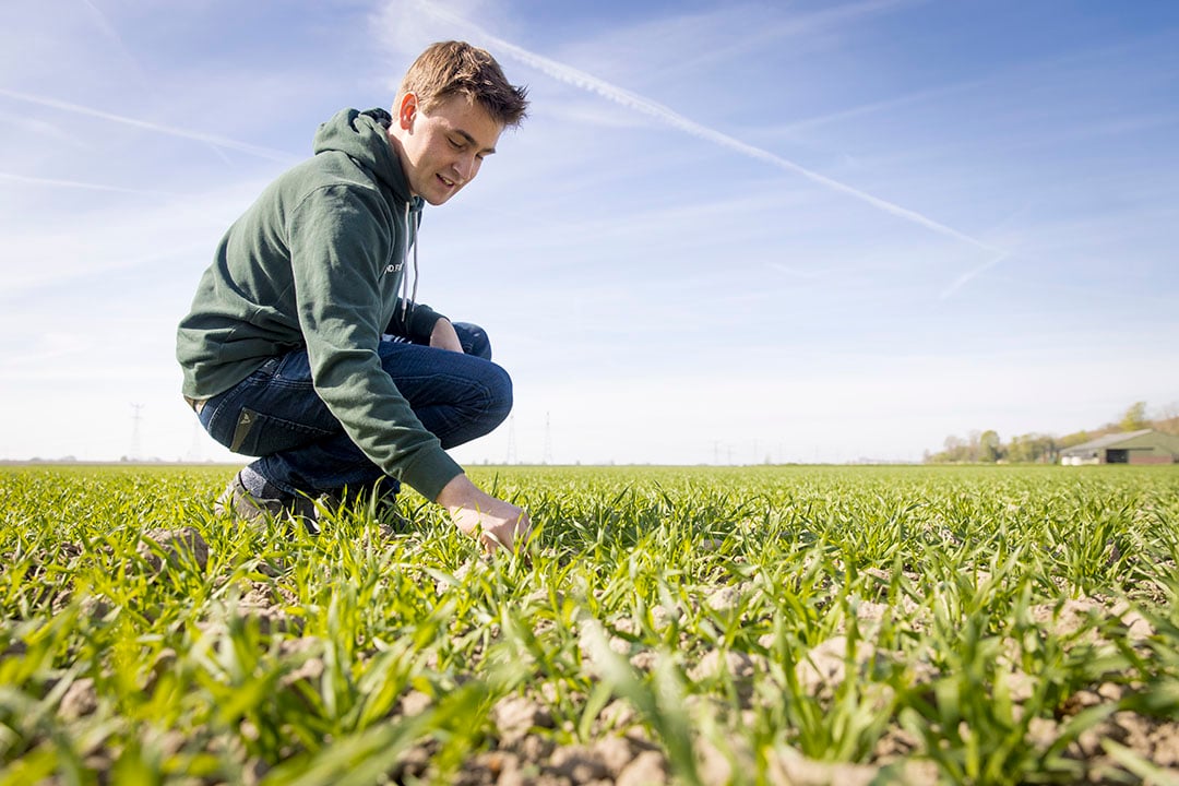 Bart wil het ouderlijk bedrijf van 26 hectare akkerbouw gaan overnemen. Ze zitten in omschakeling naar biologisch. Het bouwplan omvat dit jaar granen, peen en erwten.