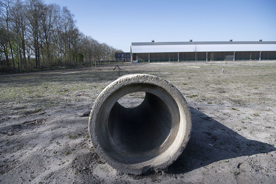 Vanwege de heersende vogelgriep is de wei leeg, de kippen zitten noodgedwongen binnen.