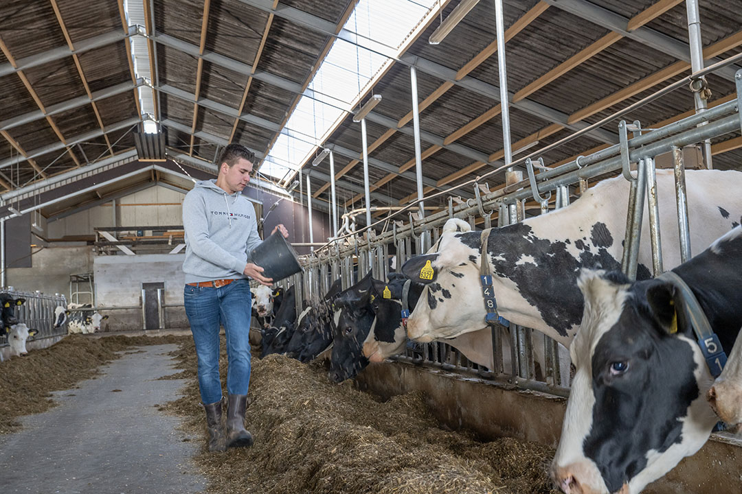 Bezig zijn met het rantsoen vindt Gijs heel erg boeiend om te doen. Het doel is een zo hoog mogelijke melkproductie tegen een zo laag mogelijke kostprijs.