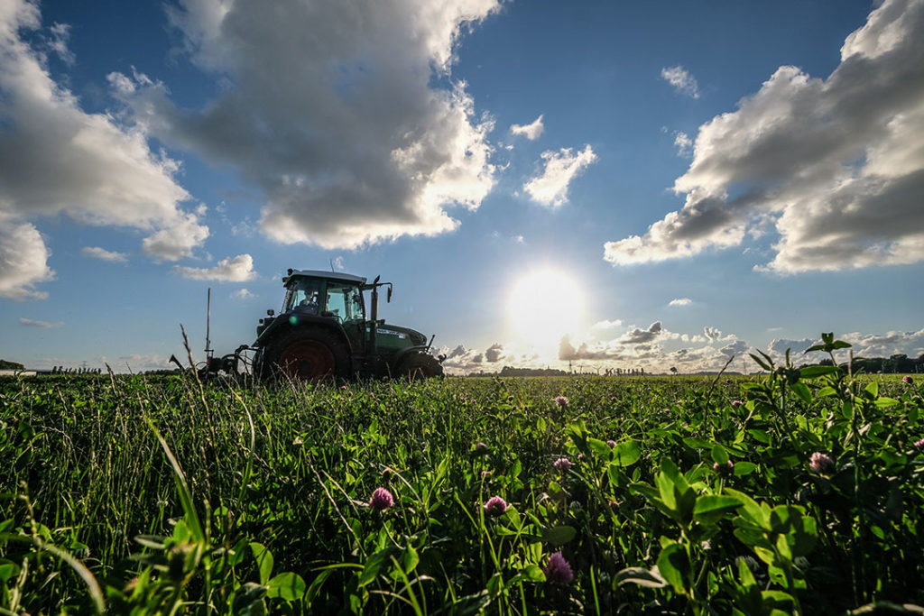 Verduurzamen gebeurt door minder diep te ploegen, verminderen van kunstmestgebruik en - zoals op de foto - kruidenrijk grasland. - Foto: Jan Willem van Vliet