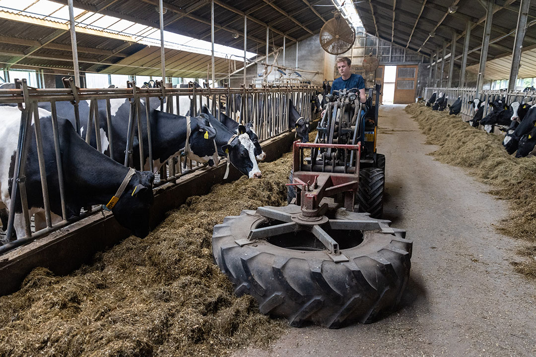 Voer aanschuiven. Beide broers zijn graag bezig met de koeien.
