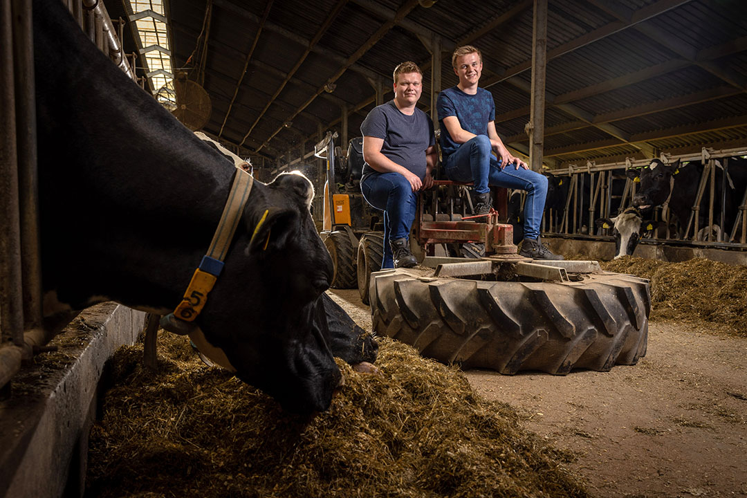 Luuk en Stijn wonen in Lattrop-Breklenkamp (Ov.) Hun ouders hebben een vof met 110 melkkoeien.