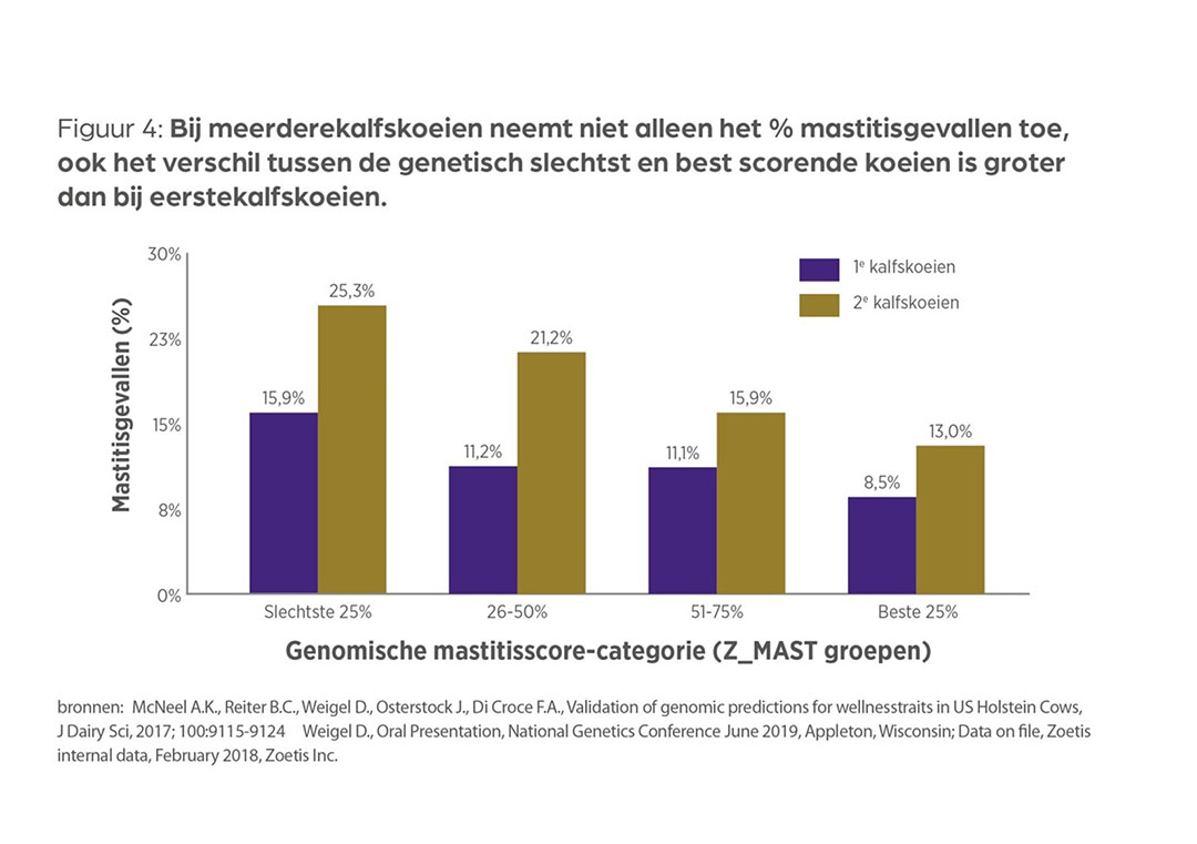 Bij tweedekalfskoeien is niet alleen het percentage mastitisgevallen hoger, ook het verschil tussen de slechtste en beste genetische groep groter dan bij eerstekalfskoeien. - Bron: Zoetis