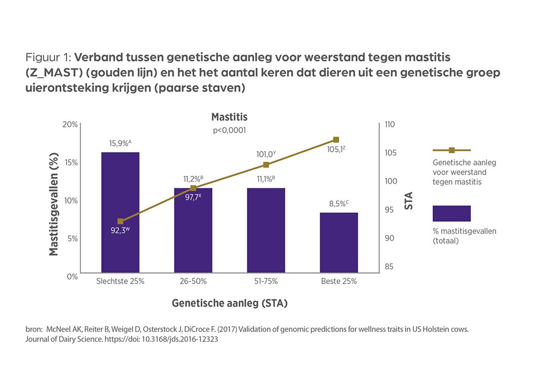 Dieren met hoge genetische weerstand tegen mastitis krijgen minder vaak uierontsteking. - Bron: Zoetis