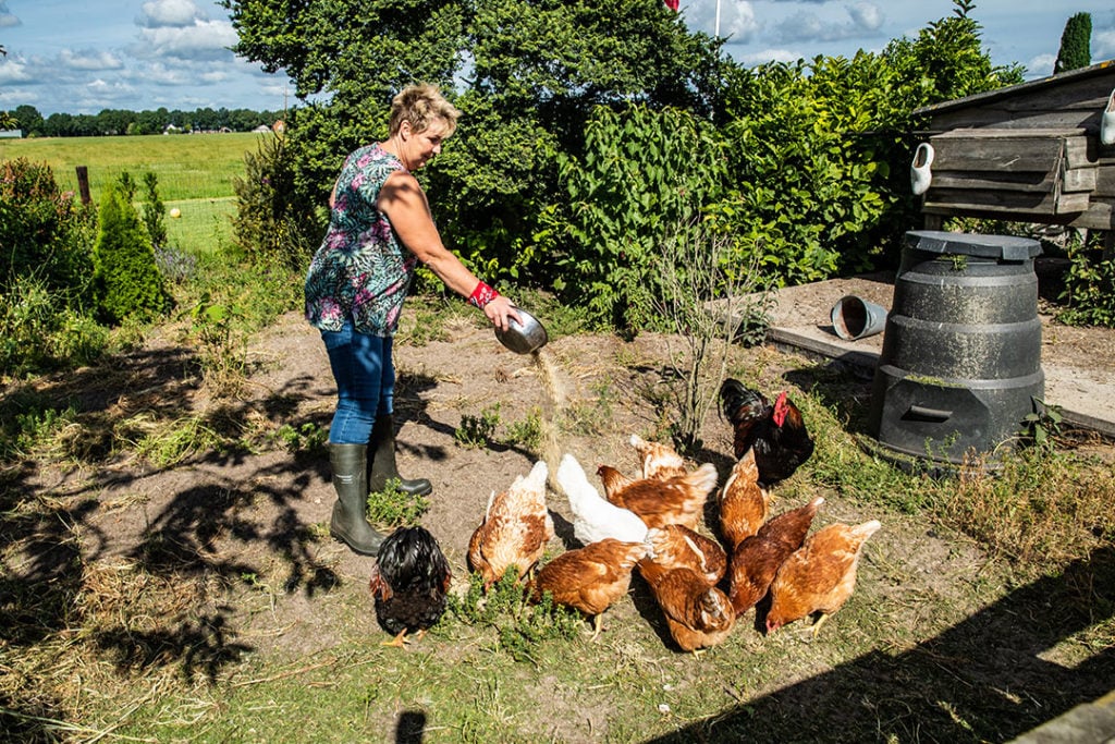 Nu haar zoon meer werkzaamheden oppakt, komt Irene weer aan zichzelf toe. Ze begon weer een moestuin, probeert allerlei recepten uit en streeft naar eitjes van eigen kippen.