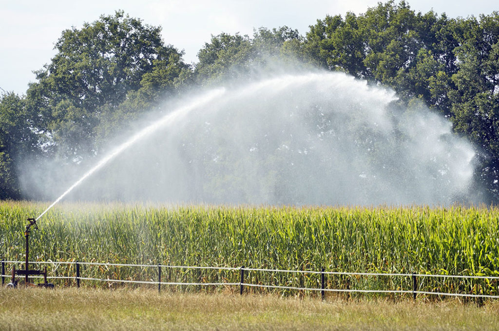 Mais beregenen met grondwater in Groesbeek. Hier in het droge deel van Nederland is mais telen zonder beregening dit jaar een groot risico. - Foto: ANP