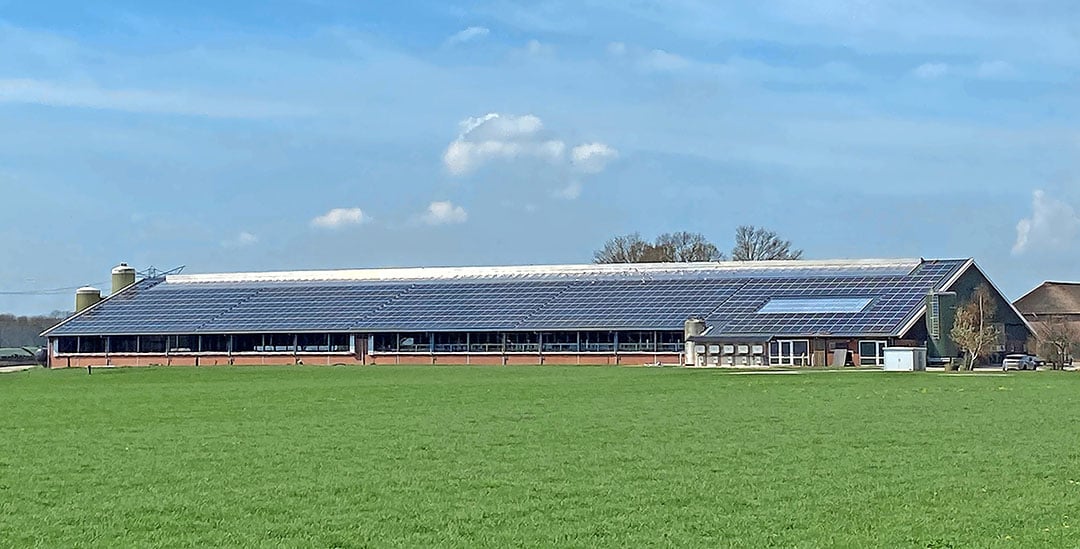 Dit voorjaar werd het melkveebedrijf in de Achterhoek in Laag-Keppel al afgestoten. - Foto: Erik van Aalst