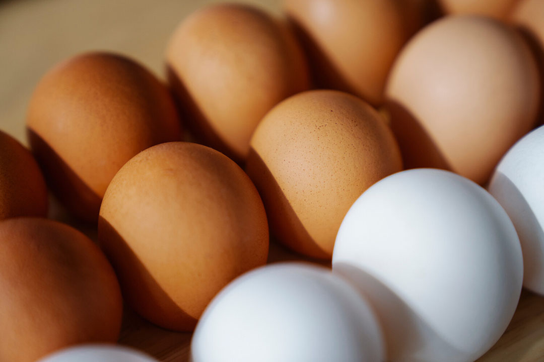 Waardig Aan boord opgroeien Prijzen eieren door het dak - Boerderij