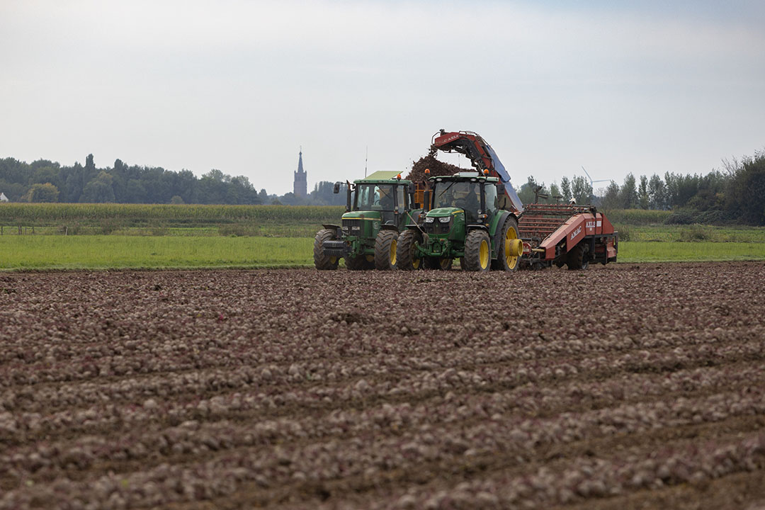 Veel trekkerwerk doet Annie nog zelf. Met haar eigen machinepark redt ze zich prima. 