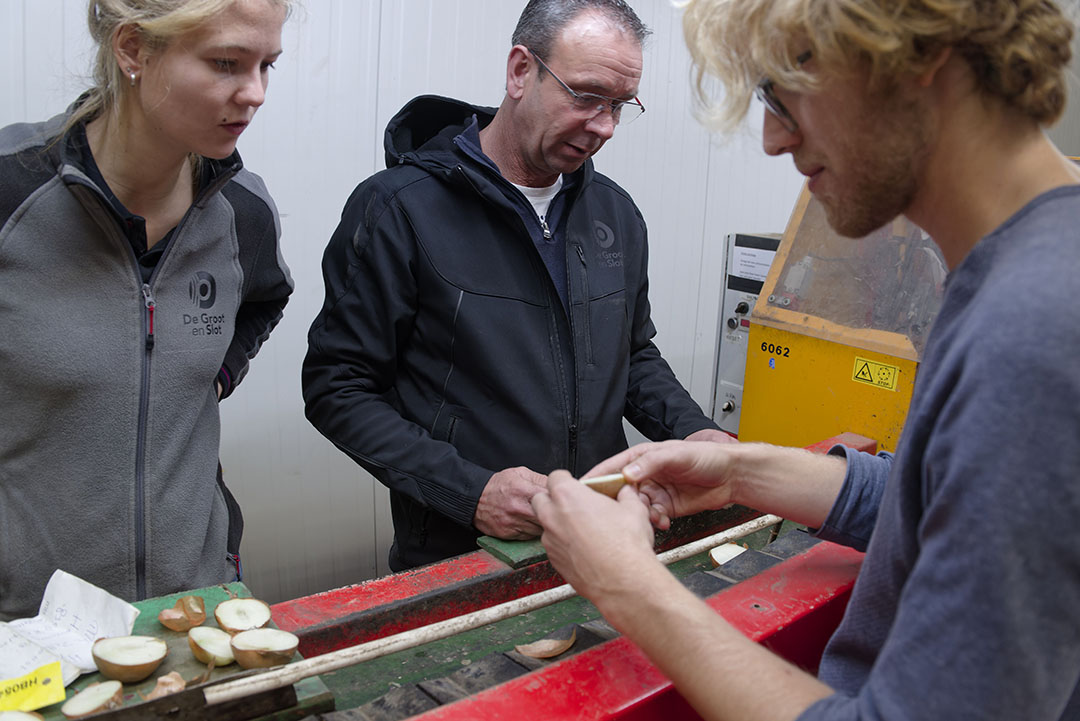 Medewerkers van De Groot en Slot controleren de uienmonsters uit de hotbox. Lynette Verweel (links):