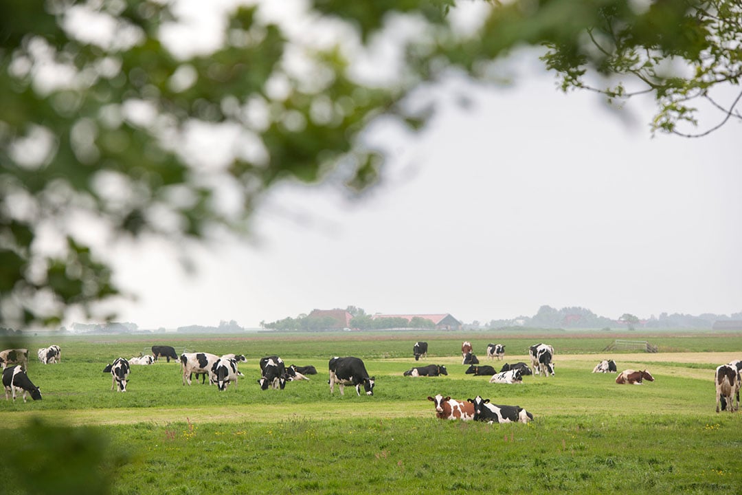 Rekeninstrument Aerius te gebruiksvriendelijk waardoor gebruiker fouten maakt