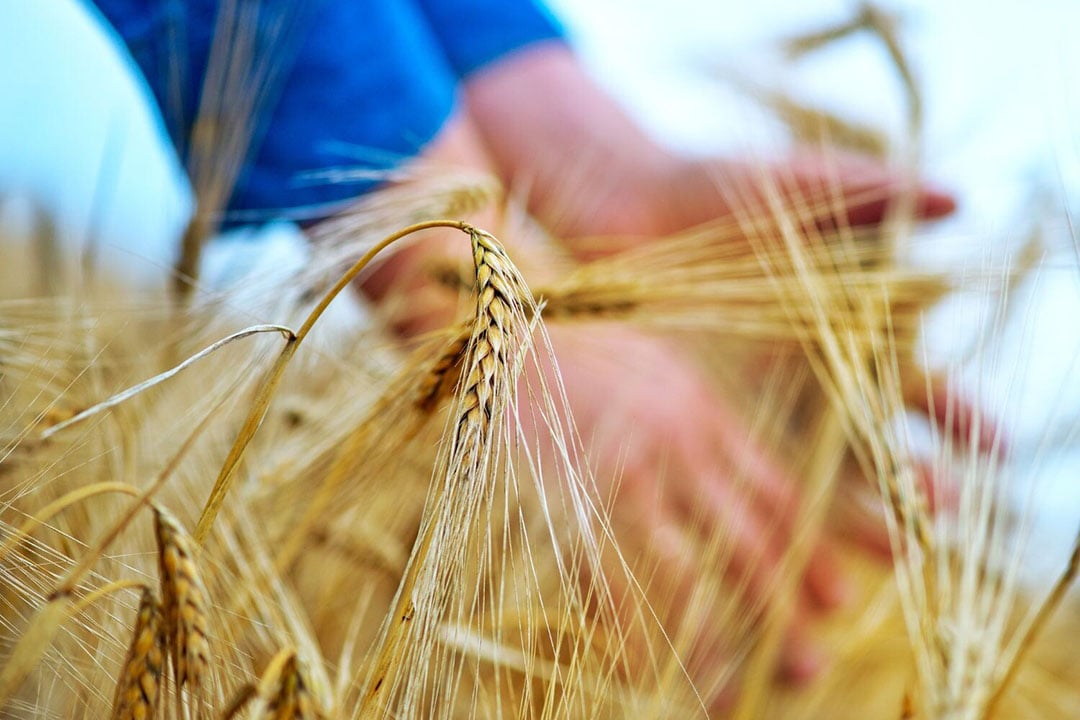 ‘Kennis schiet tekort natuurinclusieve aanpak’