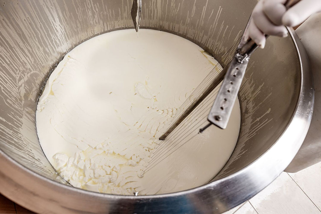 Goede afzet rauwe melk door vraag naar vet voor kerstproductie