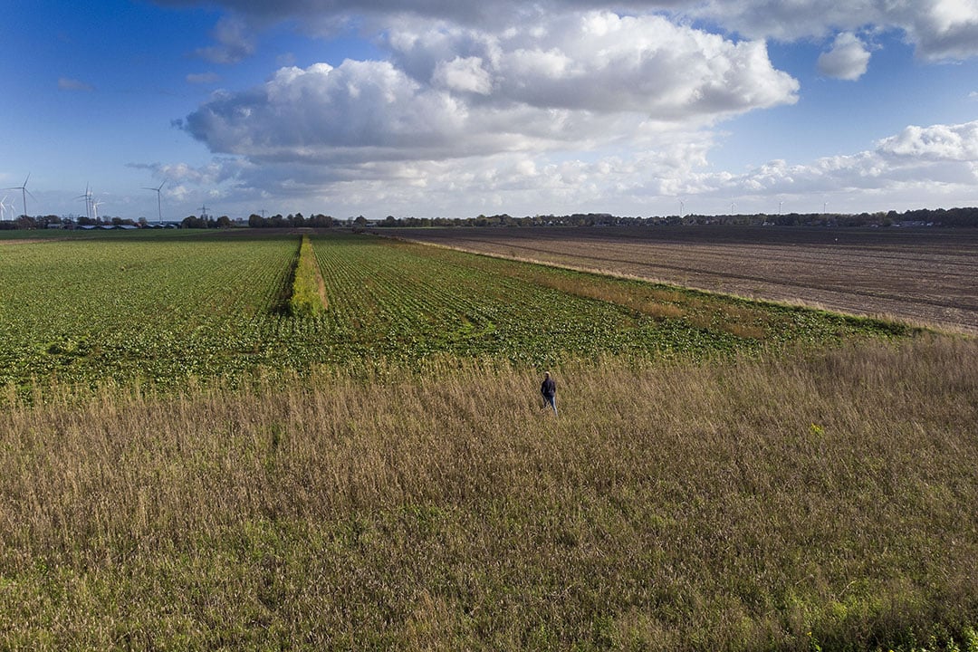 Minder chemie met natuurinclusieve landbouw