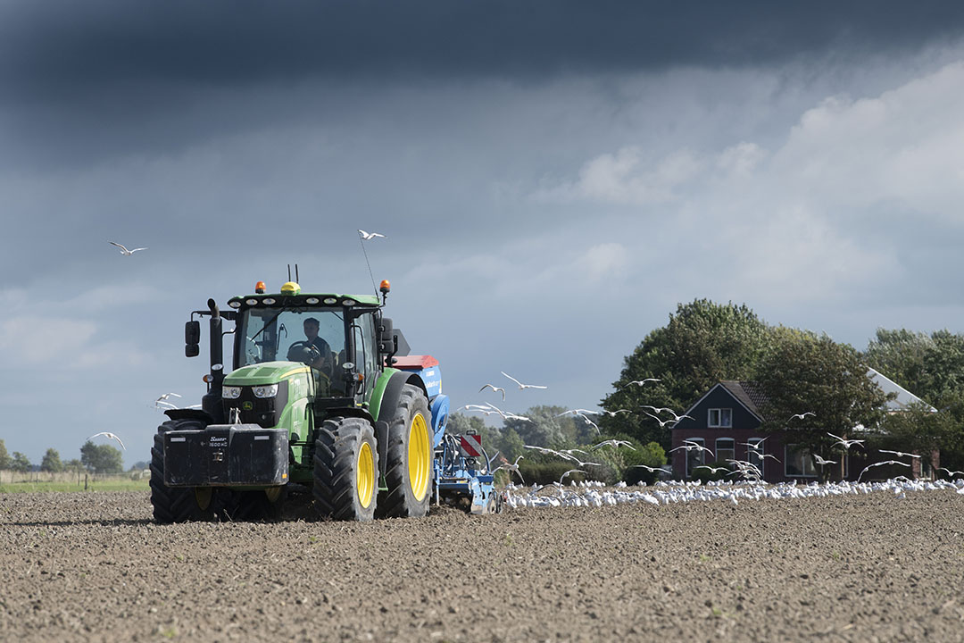 Gras inzaaien op aardappelland als groenbemester. - Foto: Mark Pasveer