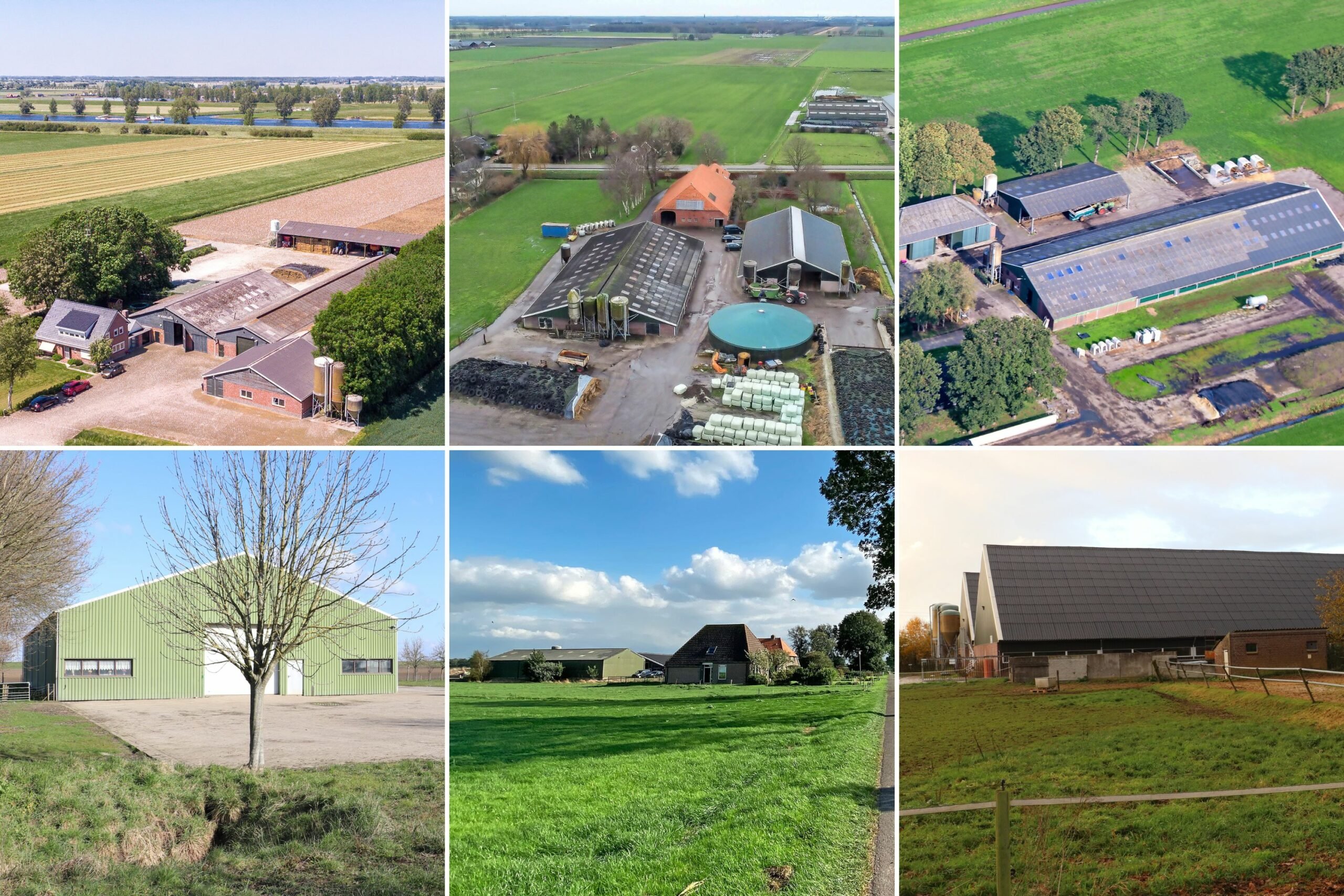 slachtoffers Toevoeging foto Agrarische bedrijven vaak snel verkocht als ze er zijn - Boerderij