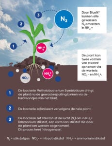 Bron: Corteva Agriscience