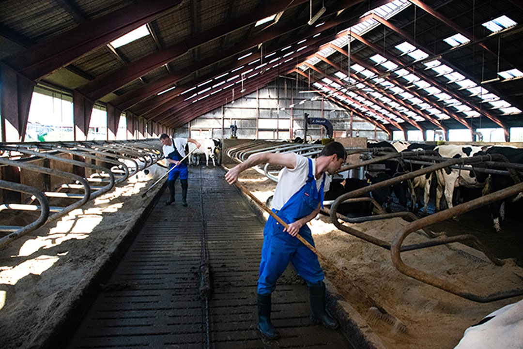 Lars Remme Larsen geeft aan dat we op weg zijn naar een wereld waar het gebrek aan arbeidskrachten niet snel lijkt te keren. Naast het feit dat een melkrobot in het algemeen tijd bespaart en de productiviteit verhoogt, gaat het ook om het veiligstellen van de toekomst in een veranderende wereld.