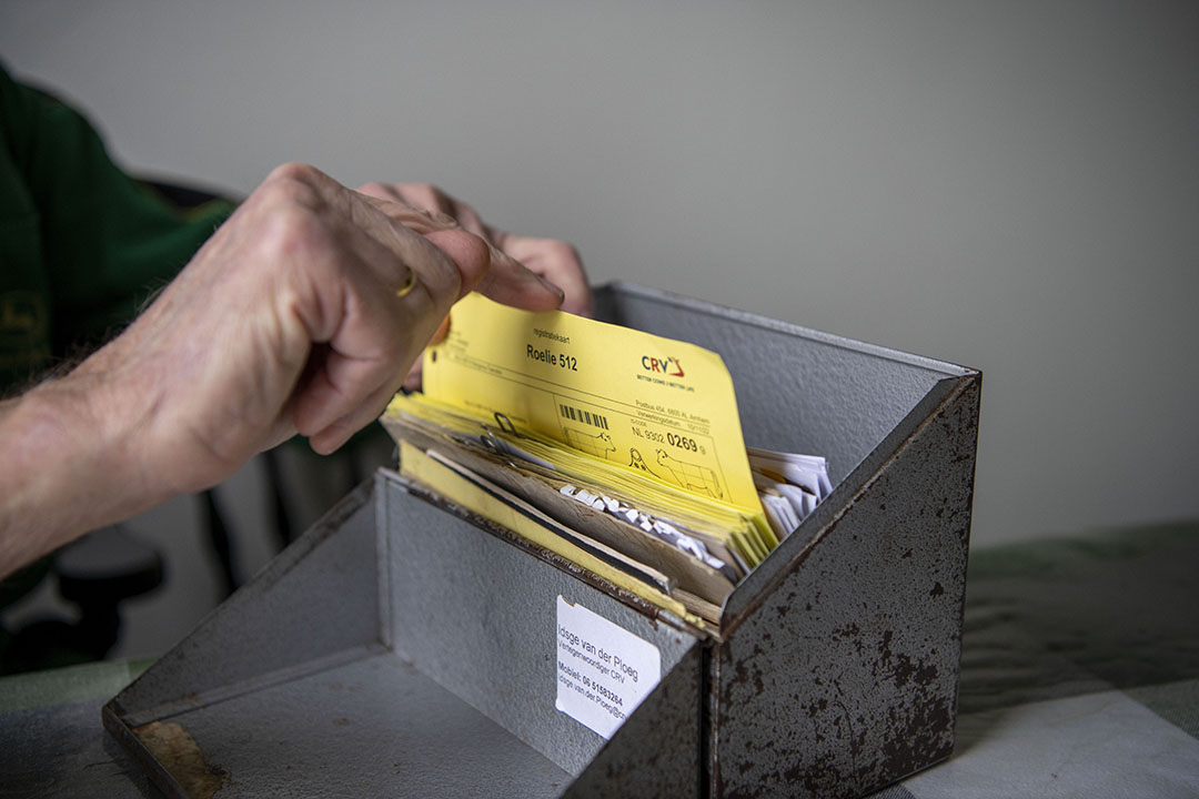 Het metalen bakje met schetsen. Eize was niet van de administratie. Dat deed zijn vrouw Henny altijd. Nu helpt zijn zoon mee.