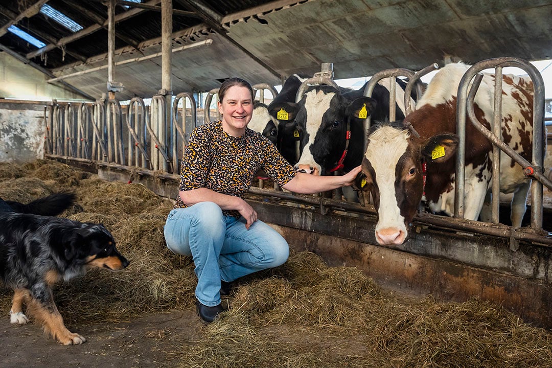 Jacqueline van Staalduinen (43) woont met haar kinderen ( 19, 16, 13 en 10) in Maasland (Z.-H.). Ze heeft een bedrijf met 60 melkkoeien. Er is verkoop aan huis van eigen zuivel en vlees, ze verzorgt af en toe ontvangsten en wie wil kan een koe adopteren. Jacqueline vertelt over het bedrijf via facebook en instagram als Boerin in Midden Delfland.