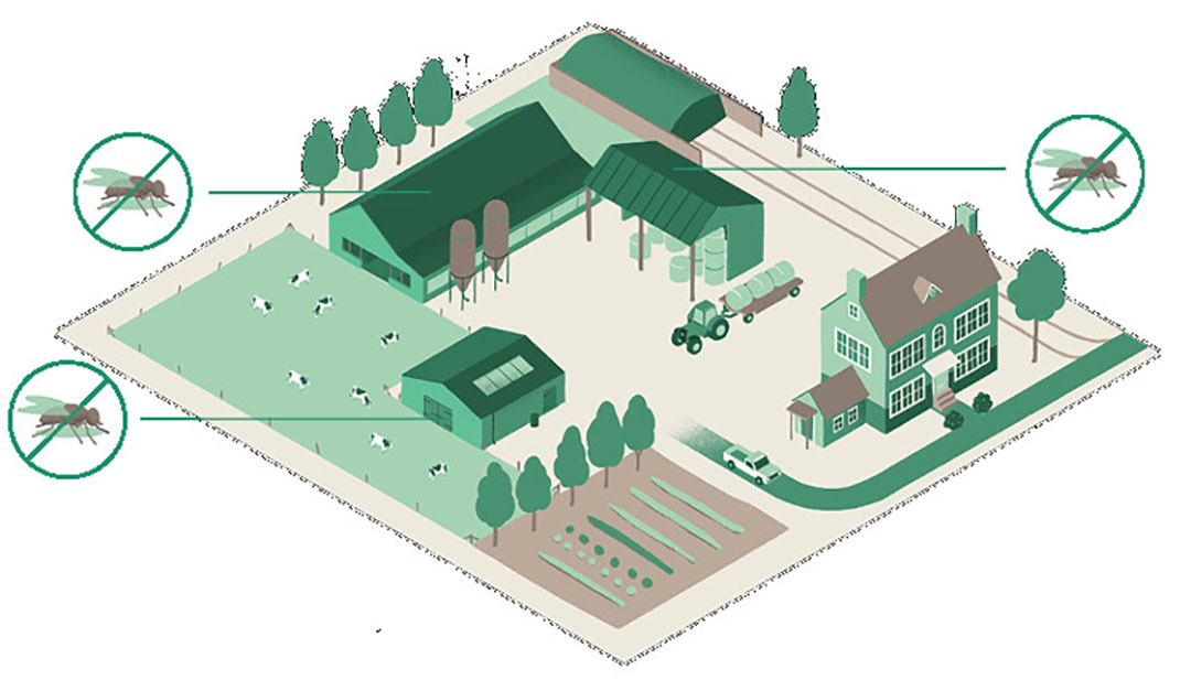 Er is een natuurlijke oplossing voor elke levensfase van ongewenste vliegen in en rondom de stal. Door op tijd de eerdere levensfasen aan te pakken voorkom je een vliegenuitbraak. - Afbeelding: Bestico