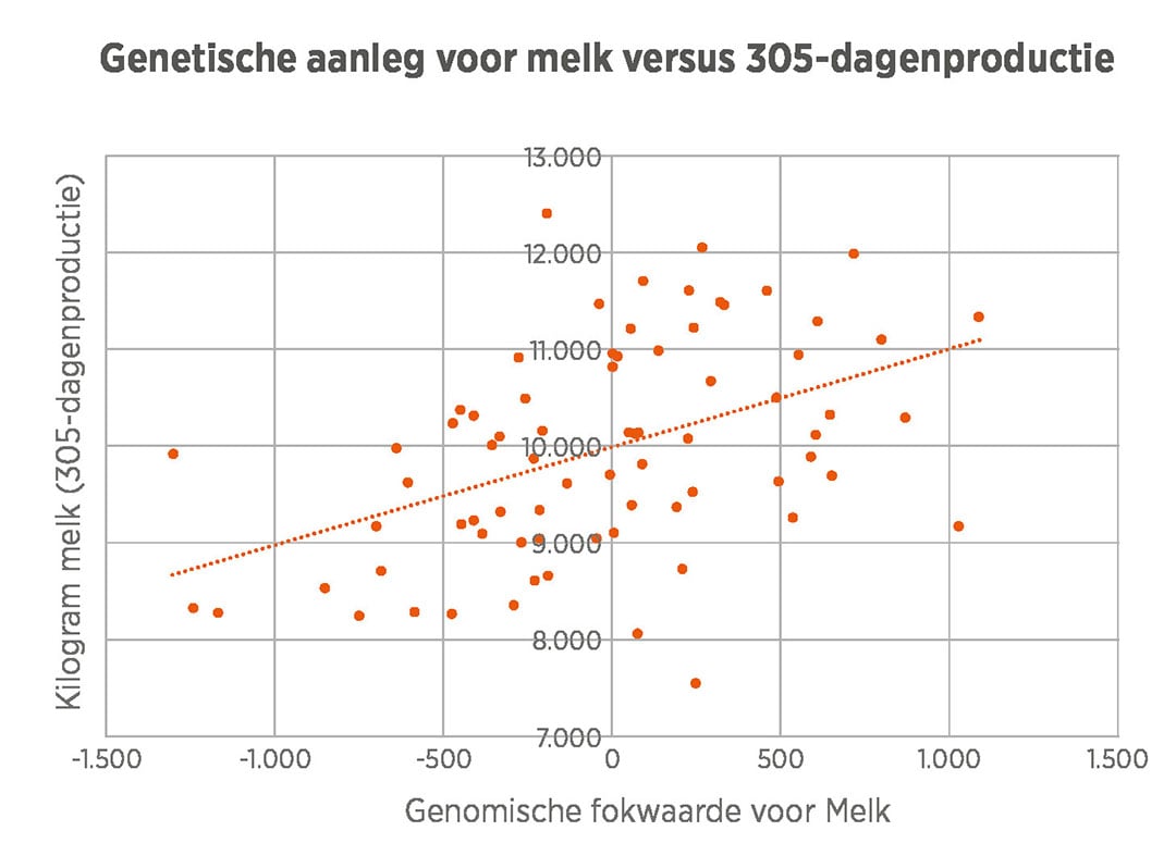 Figuur 1: Bedrijfsgegevens Van Creij Dairy. Genetische aanleg voor melk (GPTA Melk) versus 305-dagenproductie (kg melk) van 76 vaarzen.