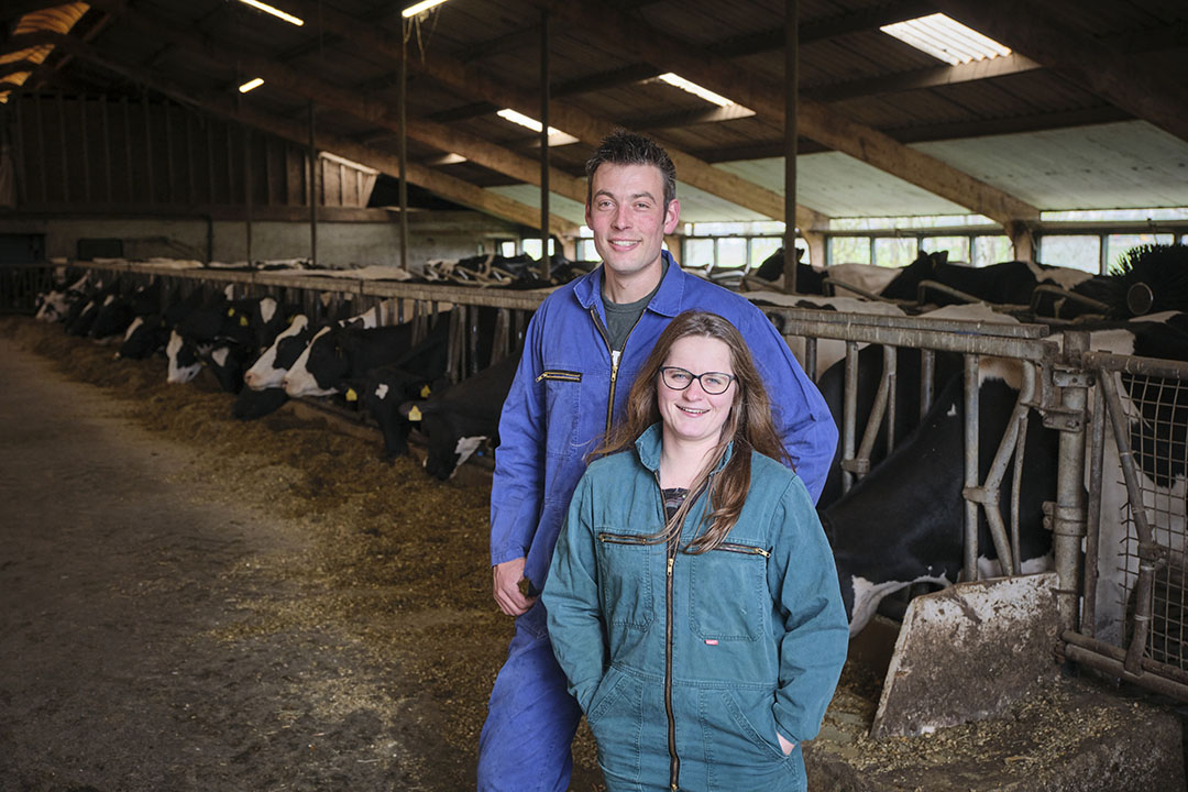 Marijke (27) Rijnsburger en Max Lobel (29) melken 70 koeien in Zoeterwoude (Z.-H.)