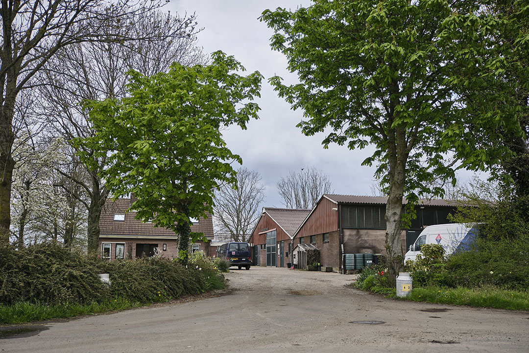 De boerderij van VOF Rijnsburger.