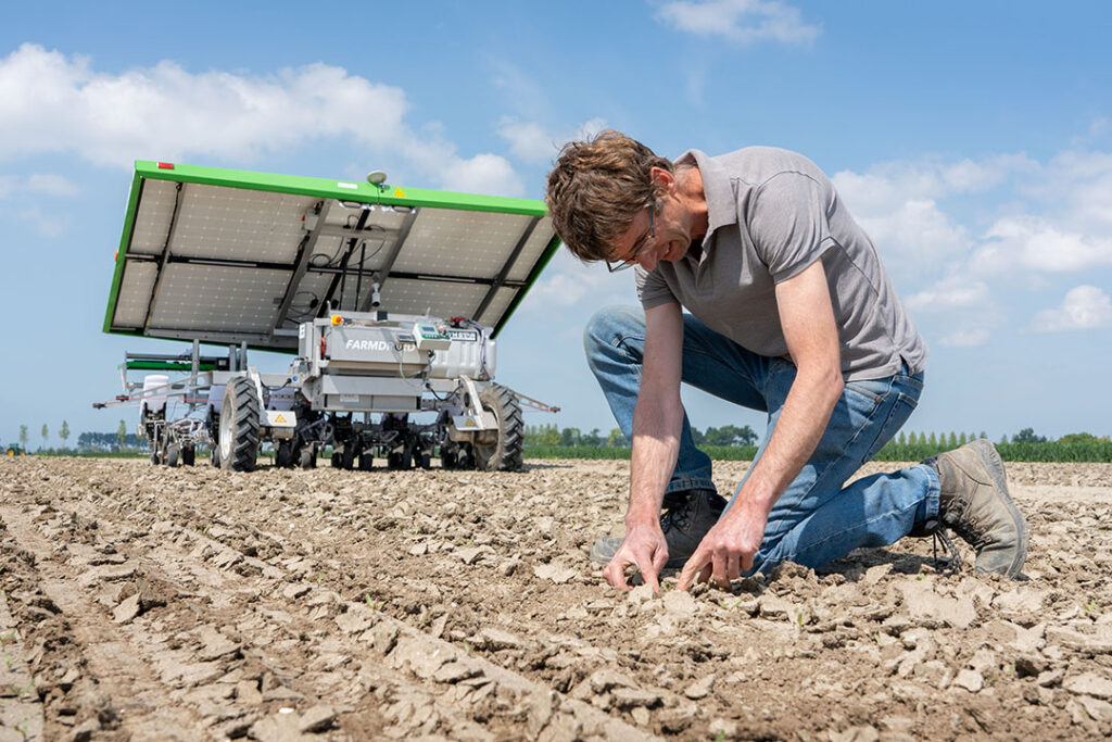 Twee weken na het zaaien is de Farmdroid aan het schoffelen en spotsprayen. Als de bietjes iets groter zijn gaat hij ook in de rij wieden.