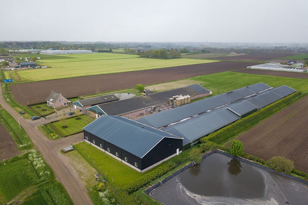 Het varkensbedrijf van Peter van den Brand is gevestigd in het Brabantse Hoeven.