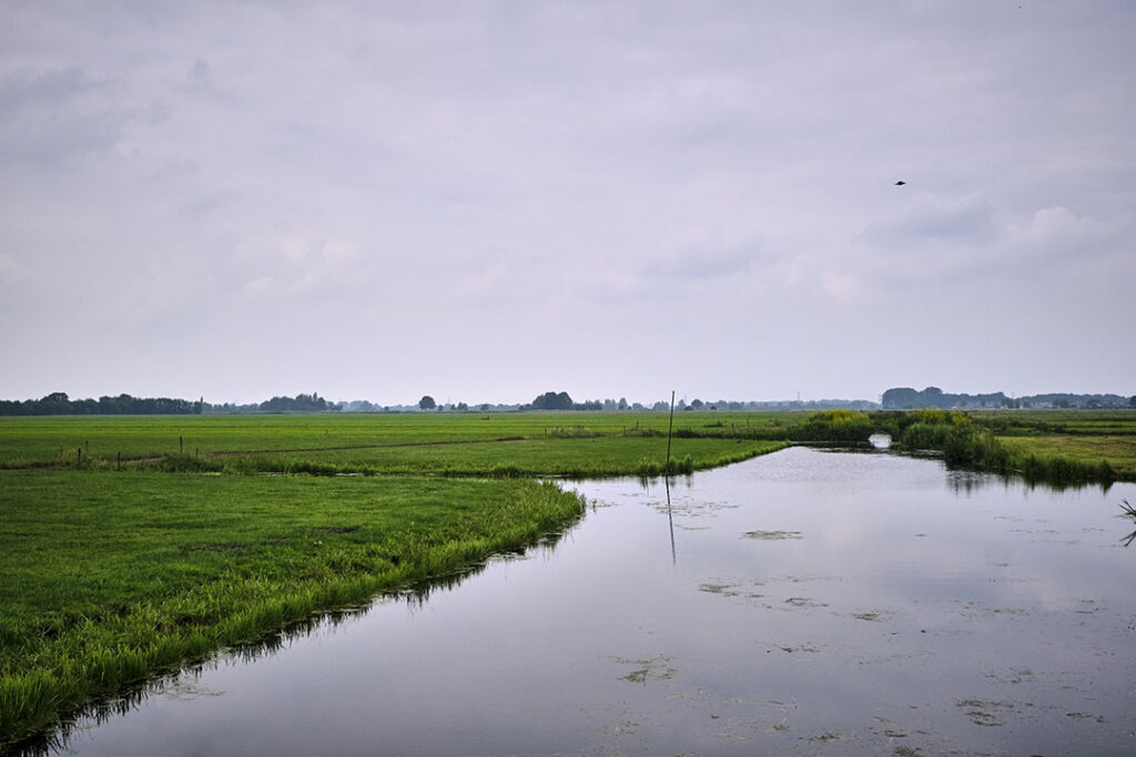 natuurherstelwet