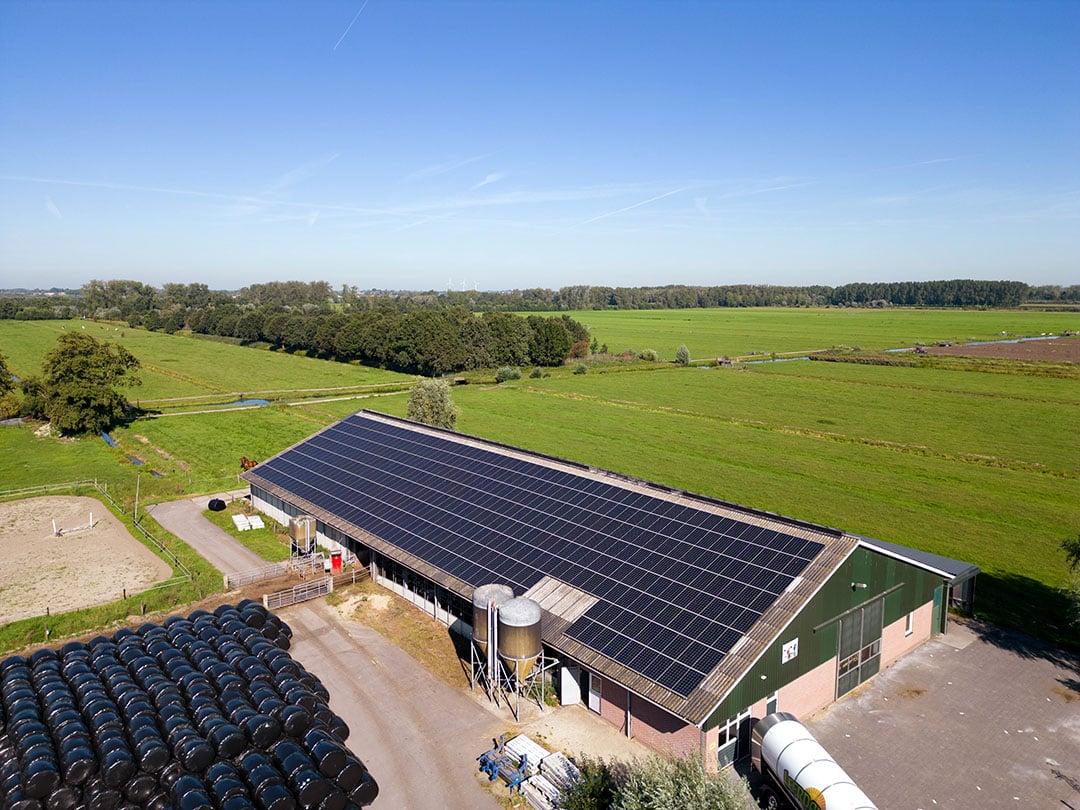 De 840 zonnepanelen liggen op de daken van drie bedrijfsgebouwen. De meeste bevinden zich op het dak van de ligboxenstal. Van Zessen heeft een 3x 250 ampère-aansluiting. Dat staat gelijk aan maximaal 172 kWh. In principe kunnen er dus heel wat zonnepanelen bij als hij dat zou willen.