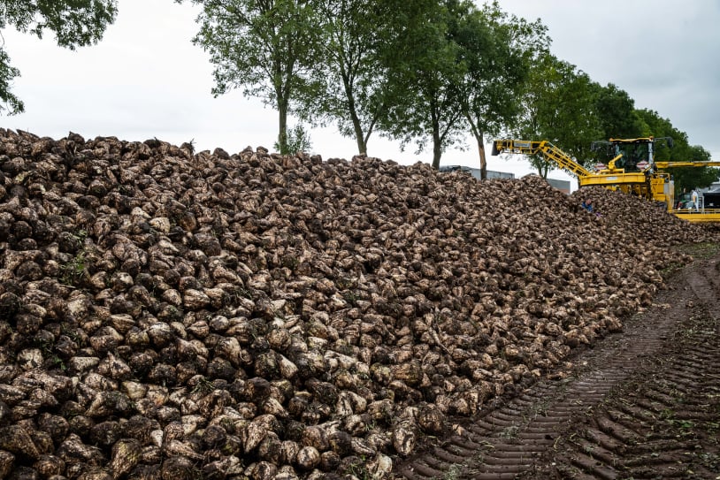 Akkerbouw in Nederland