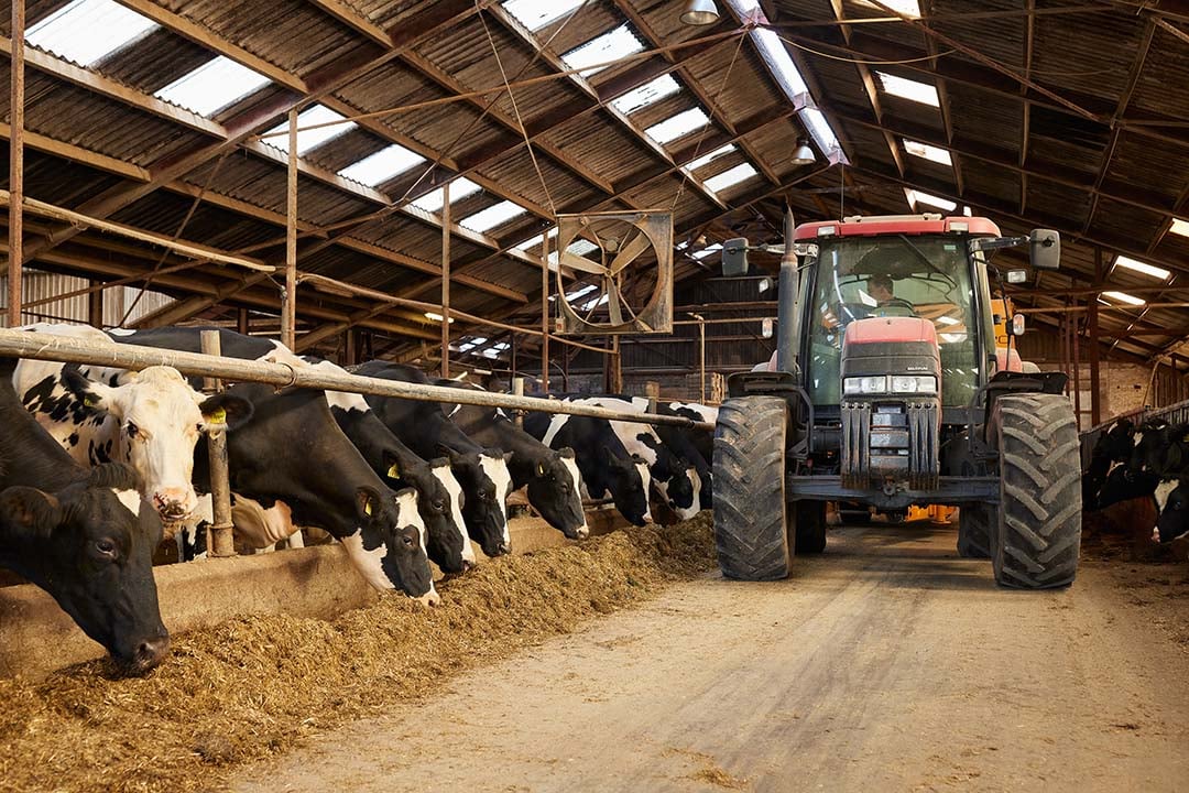 Jasper en Cathelijne van ’t Hof melken momenteel 150 koeien met bijbehorend jongvee.