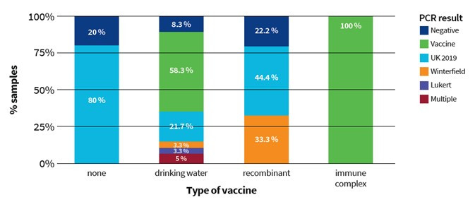 De positiviteit voor veldvirus UK2019 per type vaccin was 21,7% voor de drinkwatervaccins, 44,4% voor de recombinante vaccins en 0% voor de immuuncomplexvaccins.