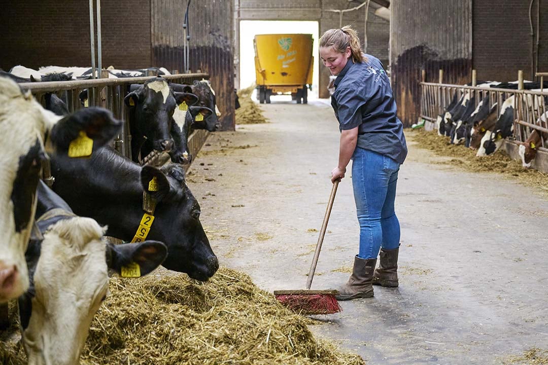 Dierenwelzijn staat bij Hanneke voorop: “De koeien leveren melk voor je. Je moet ze dus zo goed mogelijk verzorgen.”