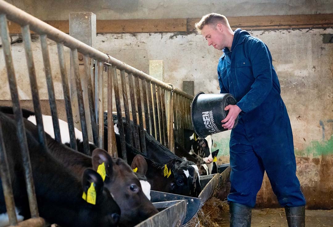 Het leek er vroeger op dat Barts’ oudere broer de boerderij zou gaan overnemen. Bart kreeg pas interesse in de melkveehouderij toen zijn vader in 2014 een nieuwe stal bouwde. Zijn broer bleek uiteindelijke meer geïnteresseerd in het werk op het land dan in het melkvee. Hij is wel betrokken bij het bedrijf.