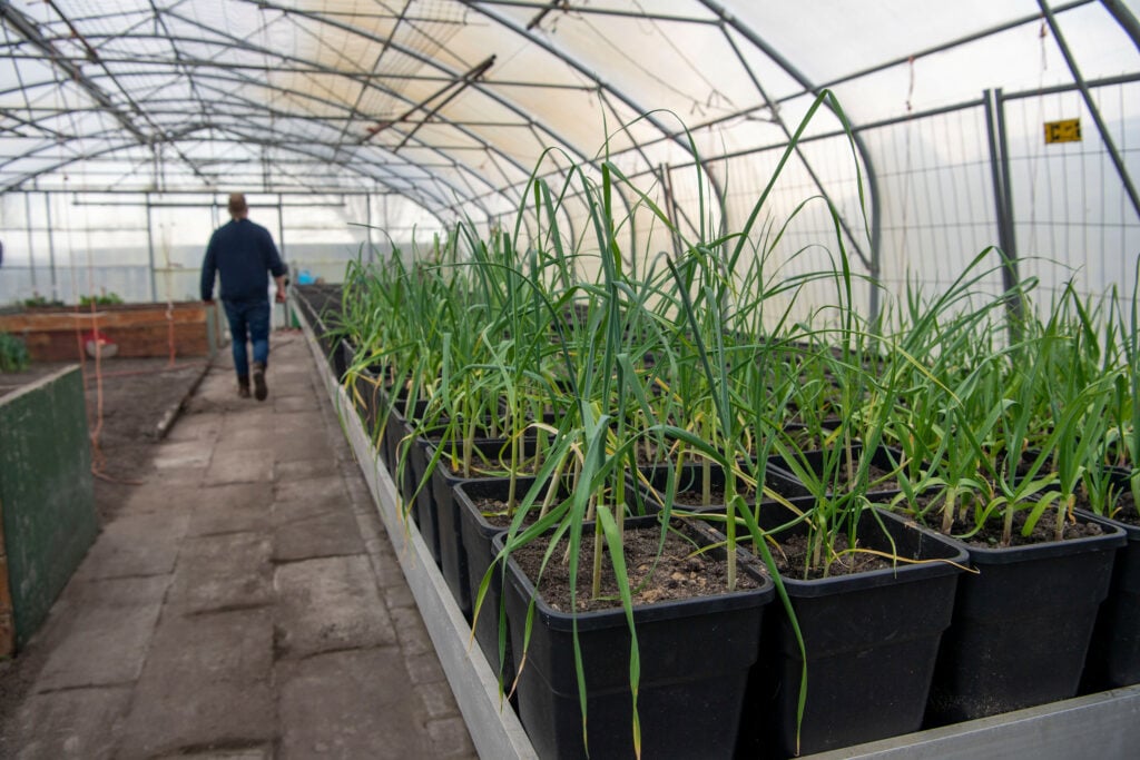 Op hun zorgboerderij Polderpracht in Oterleek telen Joost en Merel Stroomer samen met cliënten groenten in een tunnelkas, waarvan de opbrengst naar de voedselbank gaat.