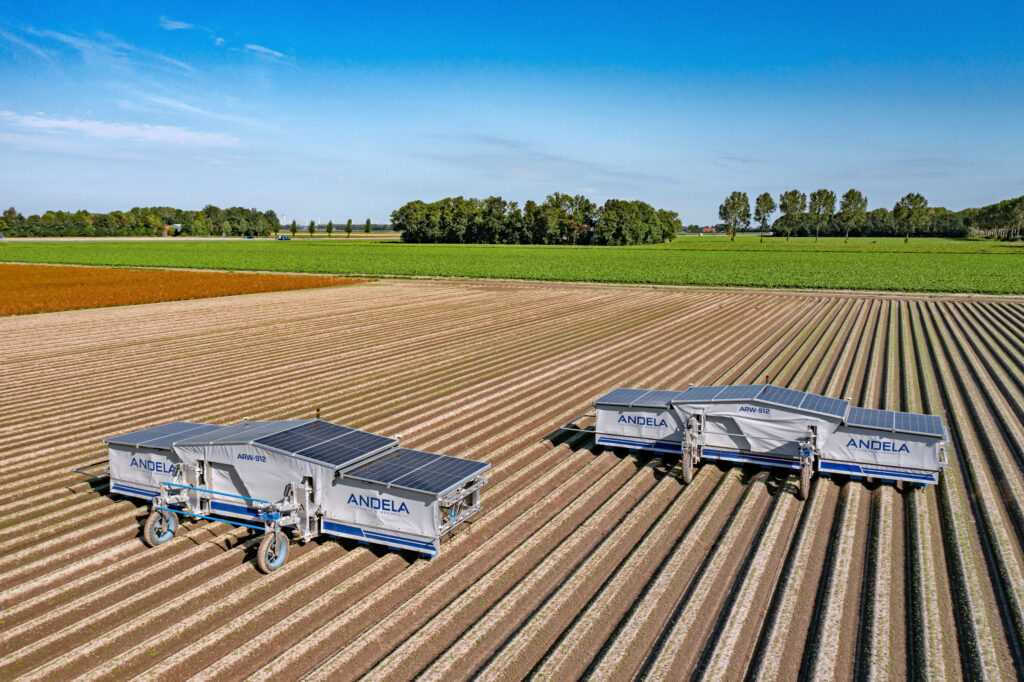 Andela Techniek & Innovatie demonstreert onder meer deze ARW912-wiedrobot in peen. De volledig elektrische ARW912 heeft twaalf wiedarmen en een werkbreedte van 9 meter en maakt dus geen gebruik van gewasbeschermingsmiddelen en fossiele brandstoffen. – Foto: Klaas Eissens