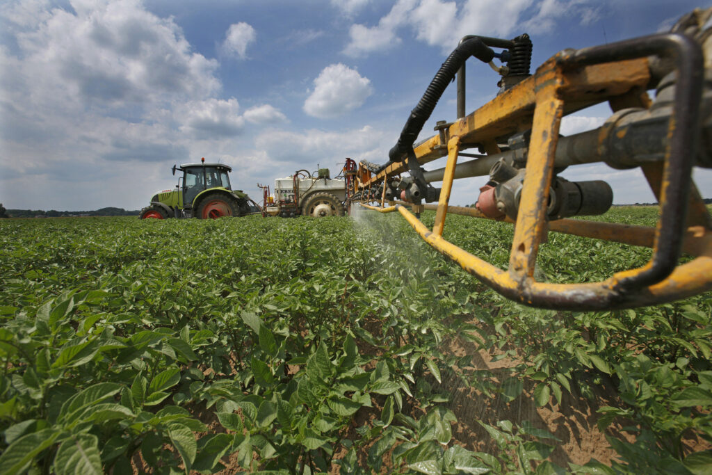 Phytophthora greep vorig jaar onverwacht om zich heen. Spuiten is onvermijdelijk, ook in robuuste rassen. De middelenkeuze is een hele puzzel. – Hans Prinsen