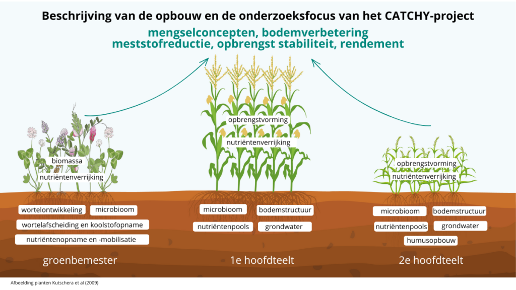 Figuur 3. Weergave van de opbouw en de onderzoek speerpunten van het CATCHY project