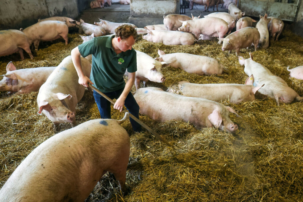 Tim: “Al vanaf mijn 13e hielp ik mee op het boerenbedrijf.”