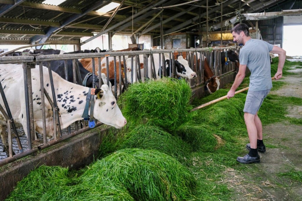 Mark woont nu met zijn vriendin op de boerderij, waar hij de dagelijkse werkzaamheden uitvoert, met hulp van zijn vader en vriendin wanneer nodig.