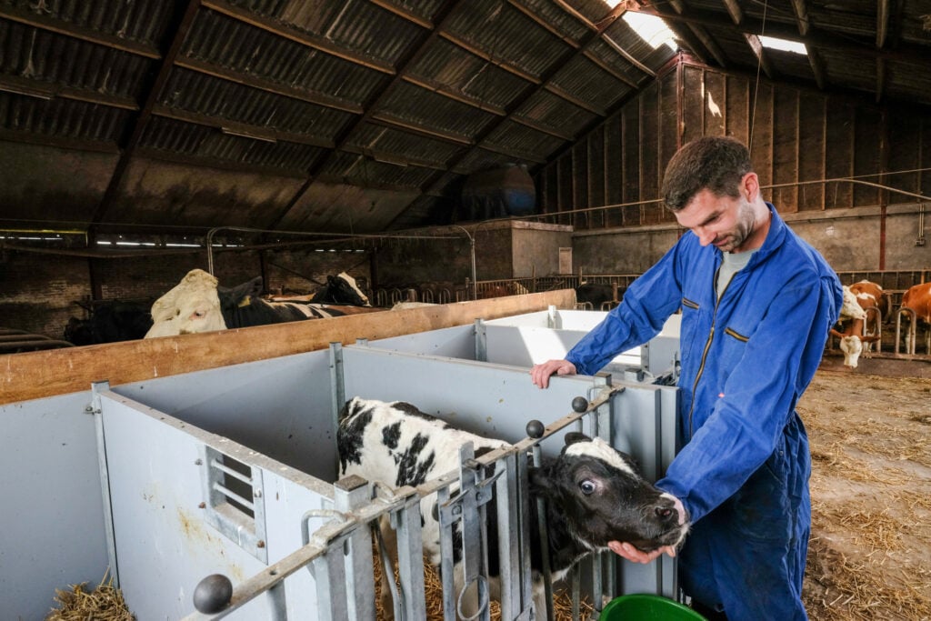 Verbetering van de jongveeopfok is gewenst; de huidige drinkautomaat functioneert niet goed, waardoor een kalverbar de voorkeur heeft.