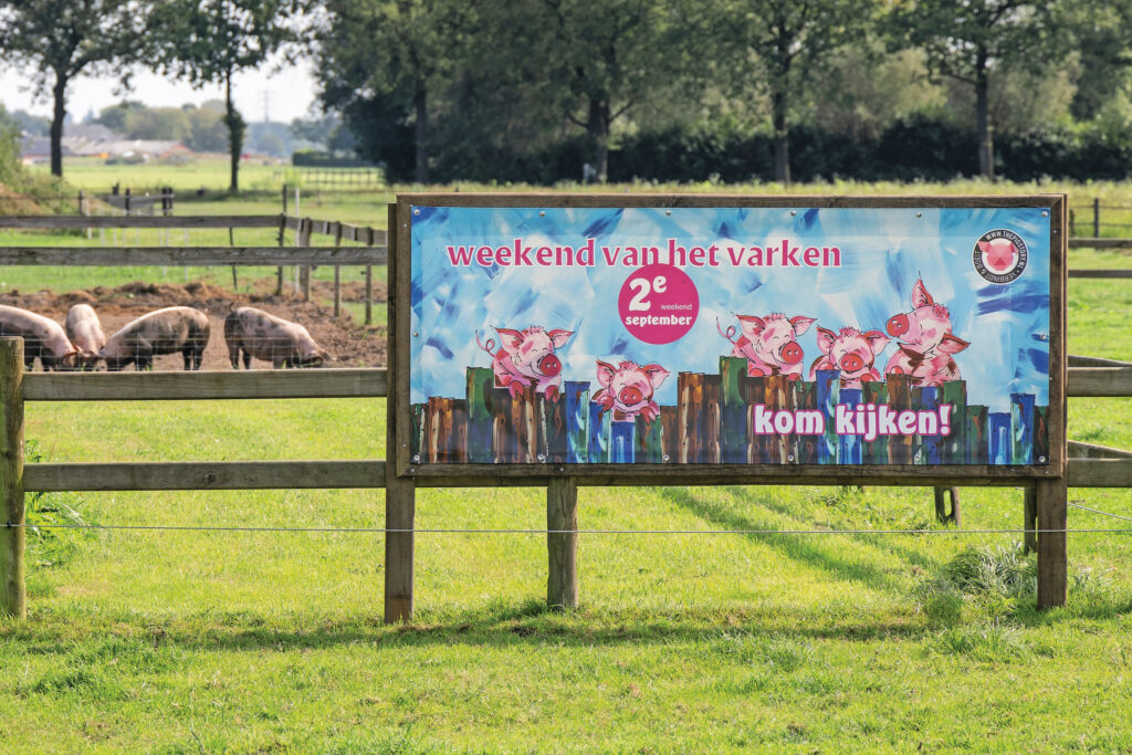 Dijk43 is een van de acht bedrijven die zaterdag 14 en zondag 15 september deelnemen aan het Weekend van het Varken. Op het bedrijf van Tonnie en Wilma is veel te zien, te doen én te proeven. Foto: Koos Groenewold