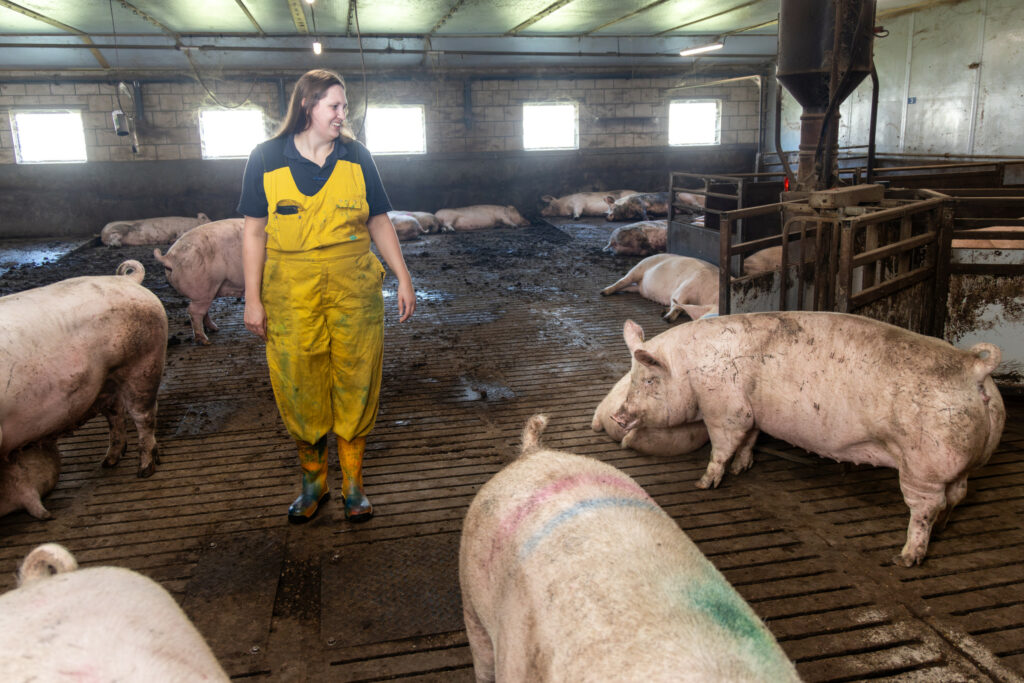 Foto: Koos Groenewold