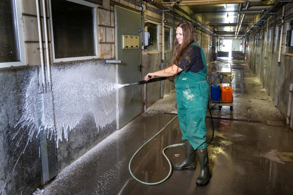 SPF wil zeggen dat het bedrijf vrij is van specifieke ziektekiemen. Rianne wil er zeker mee door. Het is wel een hele uitdaging om die hoge gezondheidsstatus te houden, een goede hygiëne is daar onderdeel van.